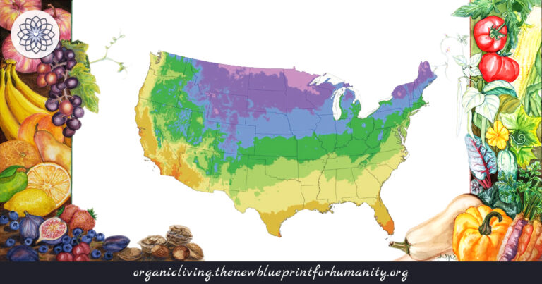 Plant Hardiness Zones